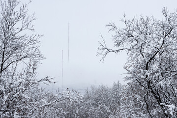 Winter landscape. View of snow-covered trees and tall radio towers. TV tower in the fog. Cold snowy winter weather. Snow on the branches of trees. Telecommunications in the far north. Magadan,  Russia