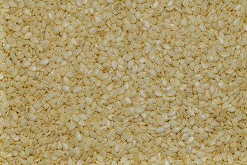 sesame seeds in detail, backdrop