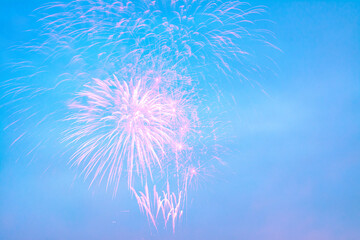 Colorful of fireworks display on sky in the pastel background.