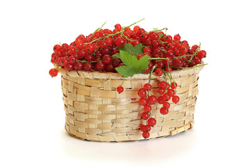 Red currants  in a wicker basket isolated on white