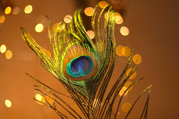 Beautiful peacock feather light in the background