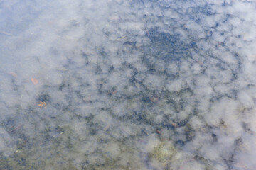 weather suggestive of autumn