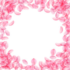 Fototapeta na wymiar Sakura petals falling down. Romantic pink silky bi