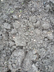 Soil, black earth, ground background
