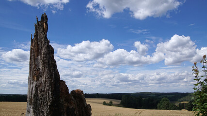Spätsommer in Thüringen