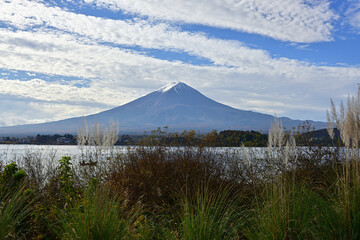 The trees leaves on the mountains were starting to change color.