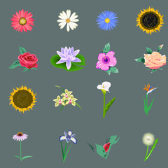 Big collection of Various colorful flowers vector set isolated in white background. Collection of daisy and sunflowers with various colors for the spring season as graphic elements and decorations.