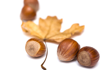 Closeup of hazelnuts and leaves