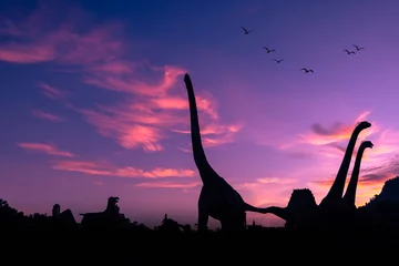 Gordijnen silhouette dinosaur in the park and pink color sky backgrounds © SHUTTER DIN