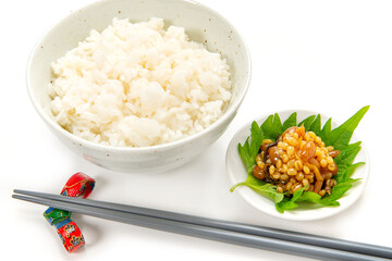 阿蘇の郷土食、醤油の実と御飯