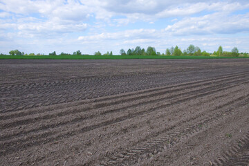 A plowed agricultural field. Beautiful clouds in the blue sky. Agricultural field, landscape.