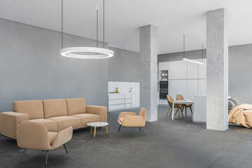 Light grey living hall room with new brown furniture and white kitchen zone