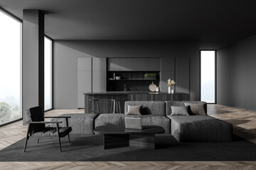 Naklejka na ściany i meble Dark gray living room with sofa