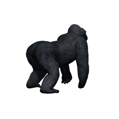 Wild animals - gorilla - isolated on white background - 3D illustration