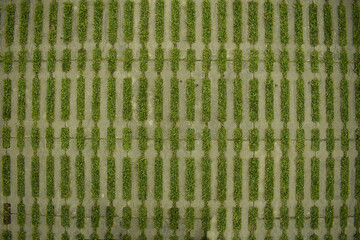 Brick floor, block For background