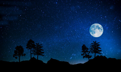Fototapeta na wymiar paisaje nocturno de las montañas bajo las estrellas