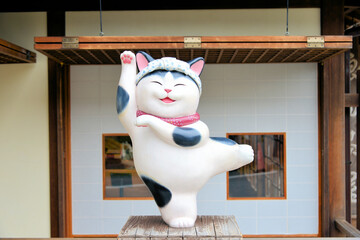 伊勢市　おかげ横丁のねこ