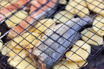 Raw sea bass, trout and potatoes on a close-up