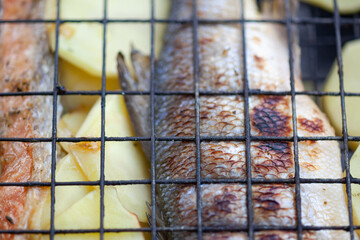 Fried sea bass with potatoes on a close-up grill