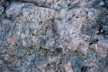 Stone background. Beautiful background with rock texture.