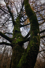 Monumento natural de monte Santiago (Burgos)