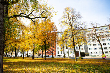 Residential houses in the green on the Isar, Munich