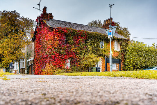 House With Autmn Leaves