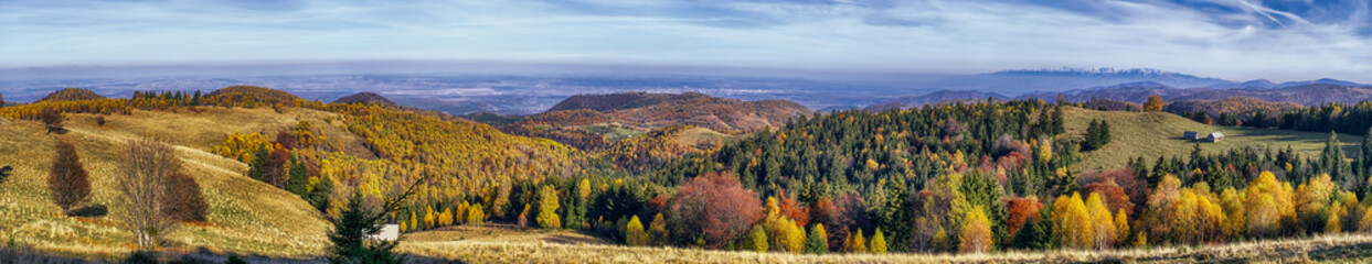 Fototapeta na wymiar hills in the fall season, Fantanele village, Sibiu county, Cindrel mountains, 1100m, Romania