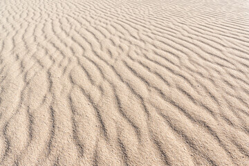 Sand texture background with ripples