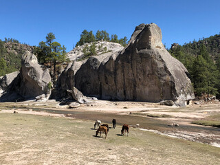hikers in the mountains of Chihuahua state