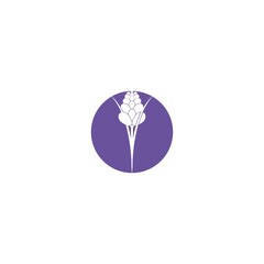 lavender icon
