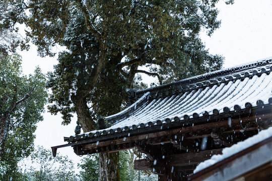 94 Best 金閣寺 Images Stock Photos Vectors Adobe Stock 94 Best 金閣寺 Images Stock Photos Vectors Adobe Stock