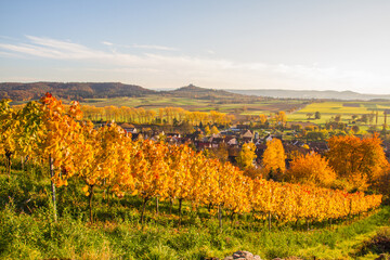Vineyards of Unterjesingen near Tübingen, Germany, with view of Wurmlinger Kapelle (chapel) and...