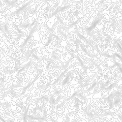 Retro topographic map. Geographic contour map. Abstract outline grid, vector illustration.