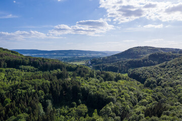 Fototapeta na wymiar Panorama over a green forest in Germany
