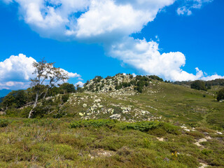 Natural landscape and hiking area of ​​the route GR 20 from the Plateau of Coscione, Corsica, France.