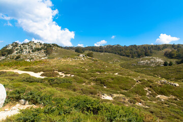 Fototapeta na wymiar Spectacular landscape at the nature reserve Plateau de Coscione, near Quenza. Corsica, France.