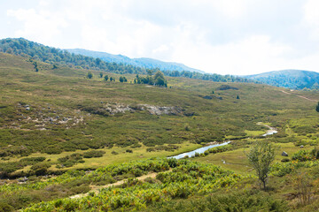 Fototapeta na wymiar Aerial view, Spectacular landscape at the nature reserve Plateau de Coscione, near Quenza. Corsica, France.