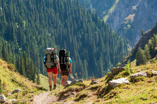 Group of young hikers trekking in mountains. Two women two men backpacking in summer near Sary Chelek lake, Sary-Chelek Jalal Abad region, Kyrgyzstan, Trekking in Central Asia.