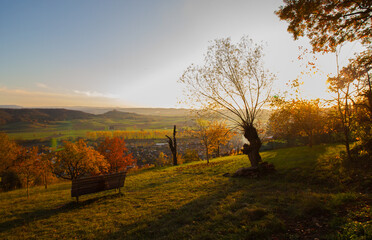 Fototapeta na wymiar Tranquil scene with vineyards of Unterjesingen near Tübingen with bench and autumn leaves
