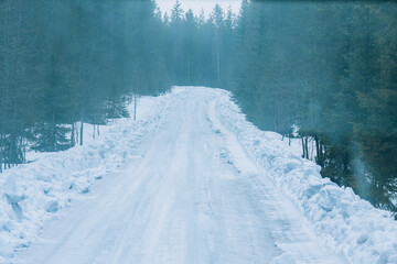 Foggy winter road. Cold winter