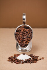 coffee bean on pile of sugar, silver container with coffee and brown background