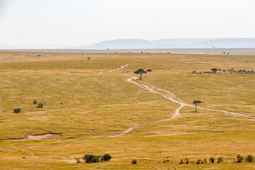 Obraz premium Dirt road at a savanna landscape in Africa