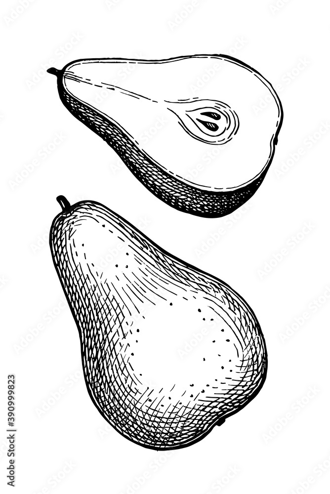 Canvas Prints ink sketch of pear.