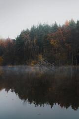 early morning view at the empty pond with the forest in the background hidden in the autumn fog and the reflection on the calm surface