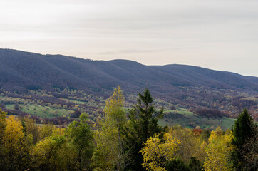 Bieszczady panorama z połoniny Caryńskiej 