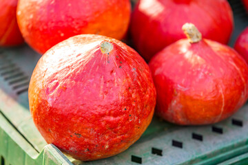 Gemüse auf dem Markt