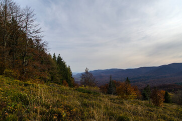 Bieszczady 