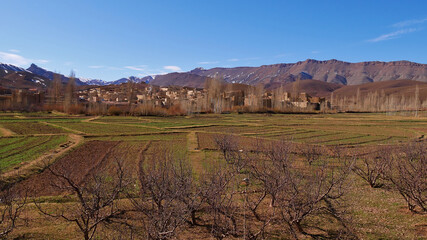 Bare trees and green agricultural fields in front of a small Berber village near Imilchil, Morocco, Africa in the sparse Atlas Mountains on a sunny winter day with blue sky.