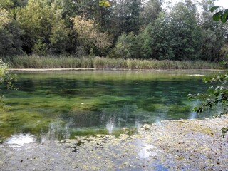 lake in the forest